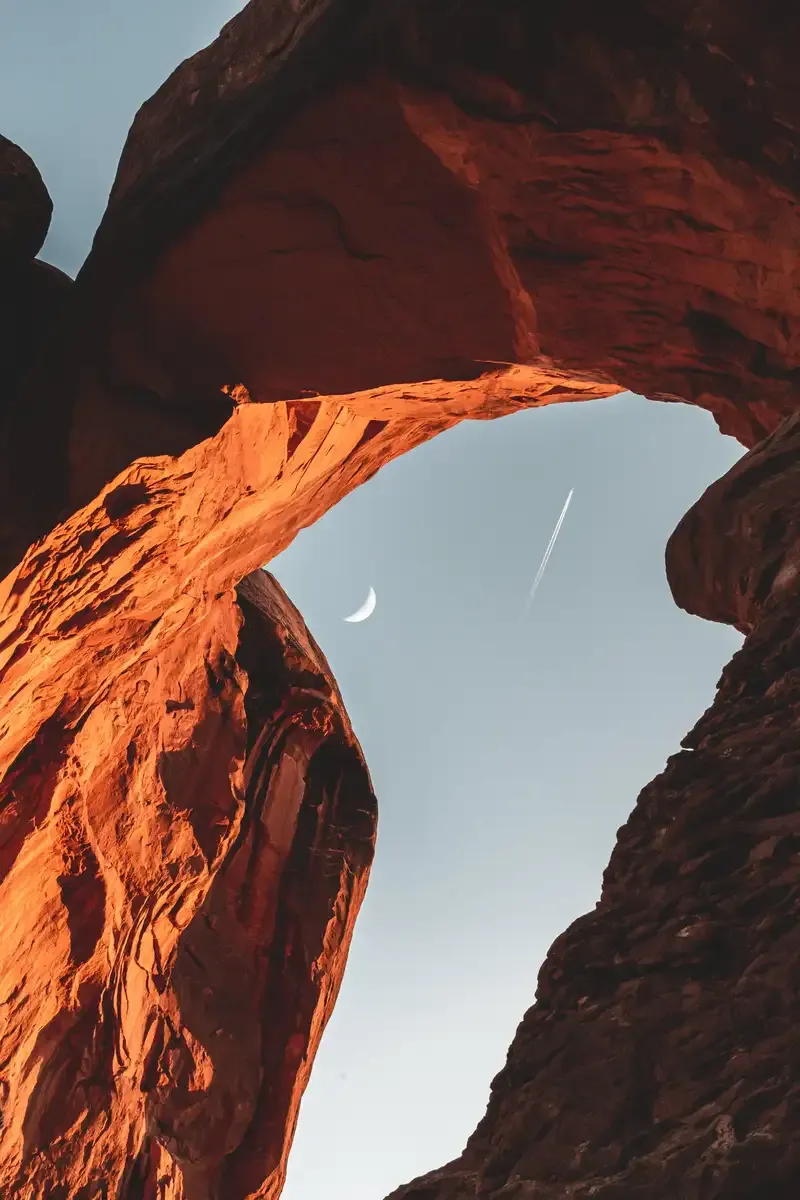 moonshot