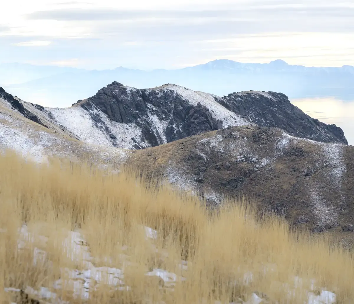 layers at antelope