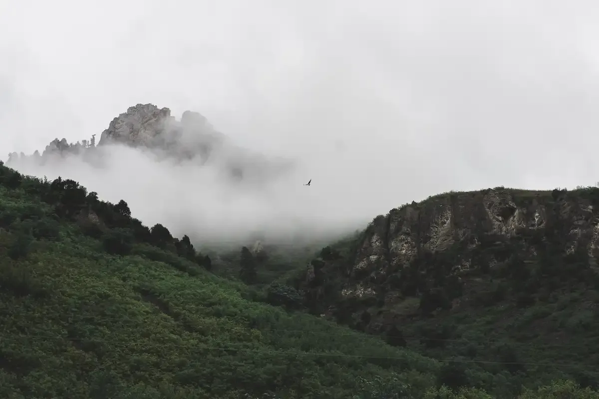 ogden canyon